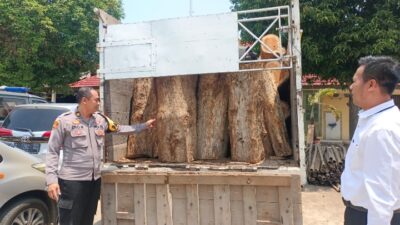 Polres Batang Ungkap Kasus Ilegal Loging, 65 Batang Kayu Jati Diamankan
